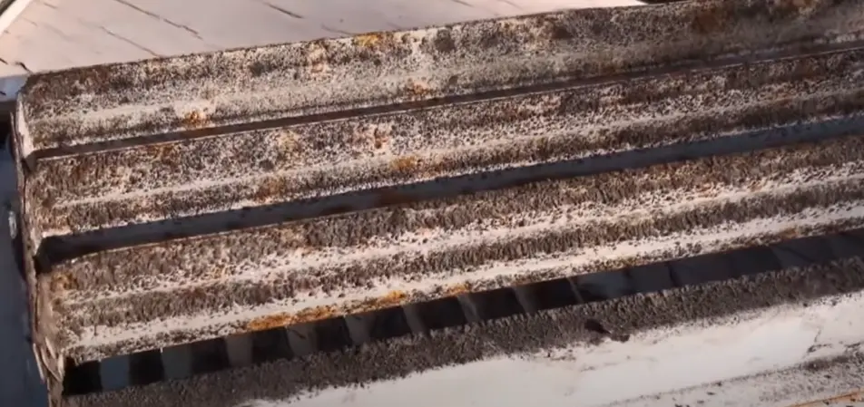 Boise duct cleaning health infographic showing HVAC system with dust and mold in ducts